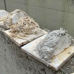 Vier provisorische Schwalbennester aus Lehm und Stroh, bereit zum Schwalbennest bauen.