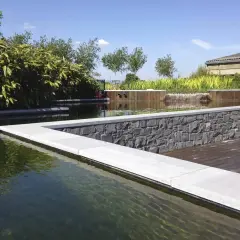 Un bassin avec un poisson rouge, des plantes luxuriantes et une cascade. Idéal pour savoir comment éclaircir l'eau d'un bassin à poissons.