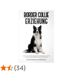 Ein Border Collie sitzt aufmerksam. Das Buch "Border Collie Erziehung" erklärt alles über den Charakter und die Haltung dieser intelligenten Hunde.