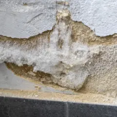 Salpeter bildet weiße, flockige Kristalle auf feuchtem Mauerwerk. So sieht Salpeter aus, wenn er sich ablagert.