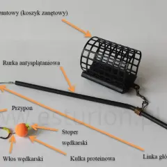 Pierwszy zestaw wędkarski: jak skompletować i zacząć łowić?