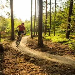 Rowerzysta na ścieżce w lesie, odkrywa urokliwe trasy rowerowe Racibórz. Słońce przebija się przez drzewa, tworząc magiczną atmosferę.