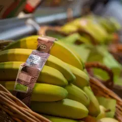 En korg med ekologiska bananer, perfekt för frukt på jobbet.