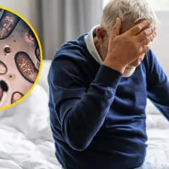 Toksoplazmoza a psychika: jak pasożyt wpływa na mózg?