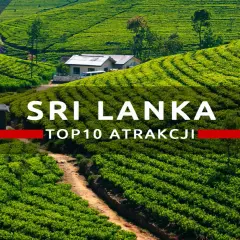 Zielone tarasy plantacji herbaty na Cejlonie, Sri Lanka. W tle domki i droga.