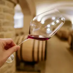 Verre de vin rouge tenu dans une cave à vin de Dijon, avec des tonneaux en arrière-plan. Une dégustation de vin inoubliable.