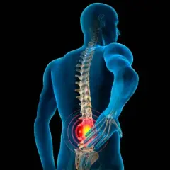Todo sobre el músculo cuadrado lumbar: funciones, dolor y soluciones