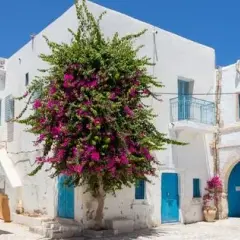 Tunezja Djerba czy jest bezpiecznie? Oto, co musisz wiedzieć