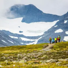 Vandringsgrupp på en grönskande sluttning med en glaciärklädd topptur i Sylarna i bakgrunden.