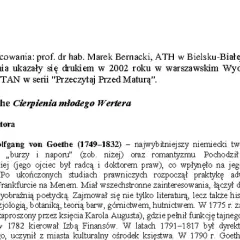 Namiętności w literaturze: Co mówią o nas Werter i Wokulski?