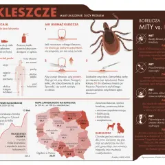 Ilustracja przedstawia kleszcza, schemat jego usuwania i mapę zachorowań na boreliozę.