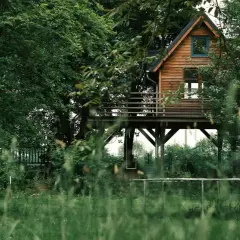 Domek na drzewie, jeden z najdziwniejszych hoteli w Polsce, otoczony bujną zielenią.