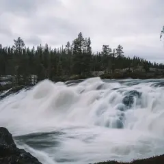 Vilt och mäktigt vattenfall i Norrland, med tät barrskog som bakgrund och en dramatisk, grå himmel.