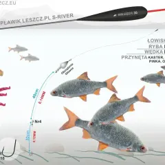 Na ilustracji wędkarz przygotowuje zestaw z przynętą, w tym różową ochotką, by złowić płoć lub jaź.