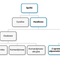 Spółka z ograniczoną odpowiedzialnością co to? Kluczowe informacje i wady
