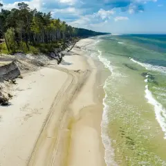 Piękna plaża z sosnowym lasem, idealna na weekendowy wypad. Zastanawiasz się, gdzie najbliżej nad morze z Poznania? To miejsce może być odpowiedzią!