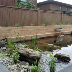 Un bassin à poissons aménagé dans un ancien espace de piscine, avec une cascade en acier inoxydable et des plantes aquatiques.