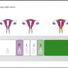 Objawy powrotu płodności po porodzie - co warto wiedzieć o cyklu menstruacyjnym
