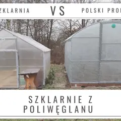 Jakiej firmy szklarnia z poliwęglanu? Porównanie najlepszych modeli
