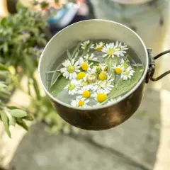 Napar z rumianku na oczy, z dodatkiem ziół, w metalowym kubku.