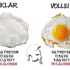 Spiegeleier: links nur Eiweiß (3,6g Protein), rechts das ganze Ei (6g Protein). Wähle weise für deine Ernährung!