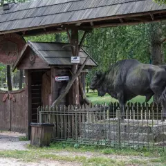 Brama do Ostoi Żubra, gdzie żubr-pomnik wita gości. Wspaniałe kiermusy atrakcje dla całej rodziny.