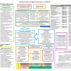Esquema competencias clave LOMLOE: objetivos, saberes, criterios, metodologías, evaluación y atención a la diversidad.
