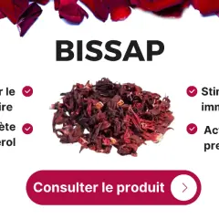 BISSAP, un ingrédient naturel aux multiples bienfaits : action sur le système urinaire, le diabète, le cholestérol, les défenses immunitaires et la pression artérielle.