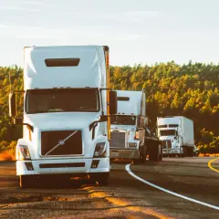 Konwój białych ciężarówek na drodze, otoczony przez drzewa. Efektywna logistyka transportowa w akcji.