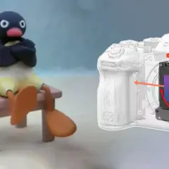 Pingu siedzi na krześle, obok schemat aparatu z zaznaczonym systemem stabilizacji obrazu (ois).