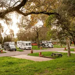 Autocaravanas y furgonetas aparcadas en un camping cerca de Lisboa, bajo la luz dorada del atardecer.