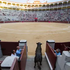 Un toro negro entra a la arena, mientras hombres observan tras las baras. El público llena las gradas del coso.