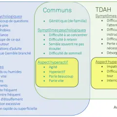 Schéma comparant l'anxiété, les points communs et le TDAH. Le manque de concentration est un symptôme psychologique partagé.