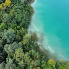 Niebieskie jezioro lśni w słońcu, otoczone bujnym, zielonym lasem. Woda jest krystalicznie czysta, a jej odcień przyciąga wzrok.