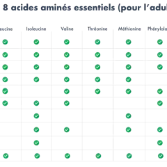 Tableau montrant a quoi servent les acides aminés essentiels, avec des aliments comme les œufs, la viande et le soja.