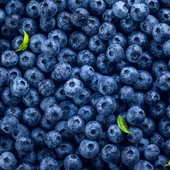 Ile kalorii ma borówka amerykańska? Odkryj jej niskokaloryczność
