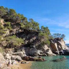Costa Brava: acantilados verdes y mar azul, ideal para excursiones en Lloret de Mar.