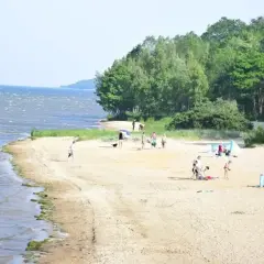 Swarzewo plaża tętni życiem. Ludzie spacerują, kąpią się i odpoczywają na piasku, a w tle szumią drzewa.