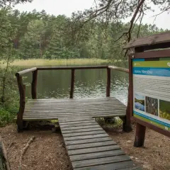 Drewniana platforma widokowa nad jeziorem Nierybno, w otoczeniu lasu. Tablica informacyjna opisuje atrakcje Bory Tucholskie.