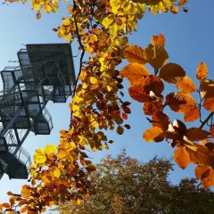 Aussichtsturm Rauen: Alle Infos für Ihren Ausflug | Wandern & Aussicht