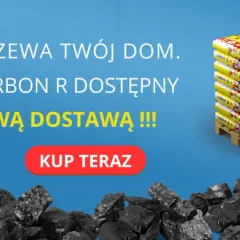 Groszek kwalifikowany a orzech: Który węgiel ogrzeje Twój dom?