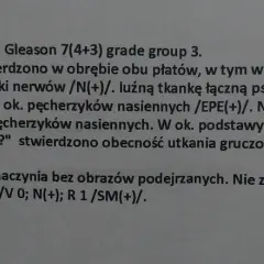 Wyniki histopatologiczne: gruczolakorak stercza Gleason 7(4+3) grade group 3, nacieka gałązki nerwów, luźną tkankę łączną pseudotorebki stercza.