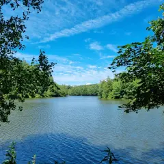 Ein ruhiger fluss im Bergischen Land, umrahmt von üppigem Grün unter einem strahlend blauen Himmel mit weißen Wolken.