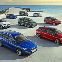Różnorodne modele SEAT stojące nad morzem. Kolekcja aut SEAT, od kompaktowych po SUV-y, prezentuje się na tle błękitnego oceanu.