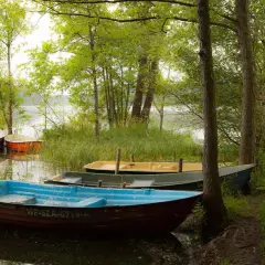 Łodzie cumujące nad jeziorem w Sierakowskim Parku Krajobrazowym.