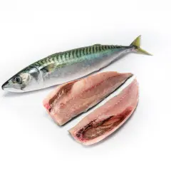 Un pescado entero y dos filetes de caballa, un pescado azul, listos para cocinar.