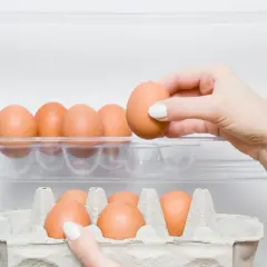 Dłoń wkłada jajko do lodówki, pokazując, jak przechowywać jajka. Widać wytłaczanki z jajkami na półkach.