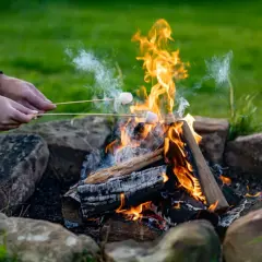 Ognisko na działce, przy którym pieczemy pianki. Płomienie tańczą, a dym unosi się w powietrzu.