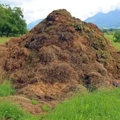 Enorme cumulo di materiale organico in un prato verde, con alberi e montagne sullo sfondo. Ricorda cosa non mettere nel compost per un risultato ottimale.
