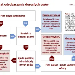 Schemat odrobaczania psów: jak często odrobaczać psa zależy od jego stylu życia i kontaktu z innymi zwierzętami.